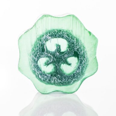 Savon Loofah Sport